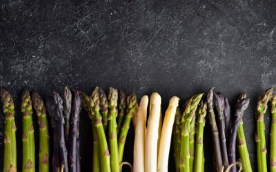 Asparagi selvatici, tesoro verde dei boschi primaverili