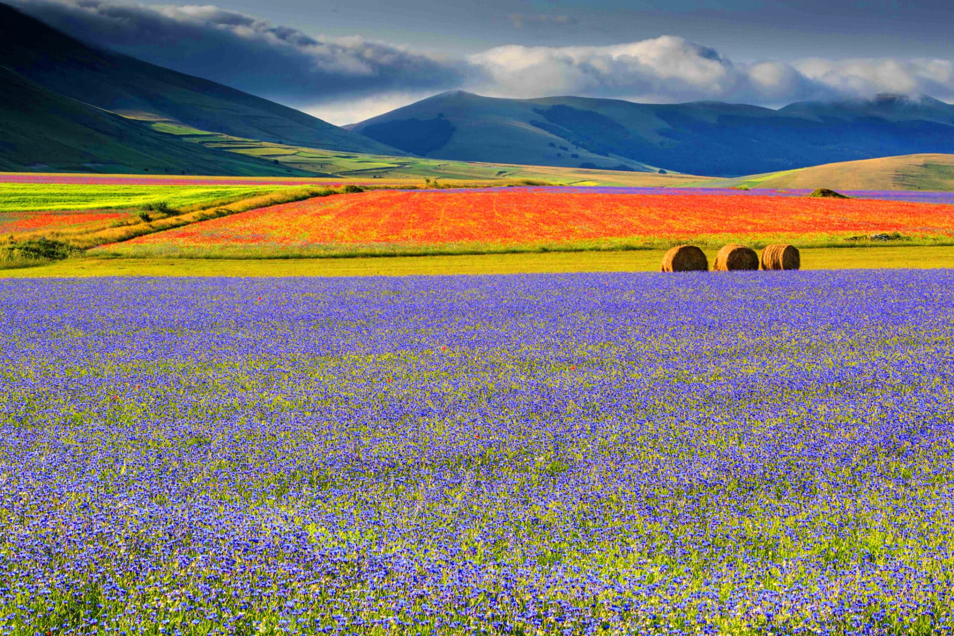 monti sibillini, dormire nella natura, dormire in botte marche, esperienze monti sibillini, fioritura di castelluccio